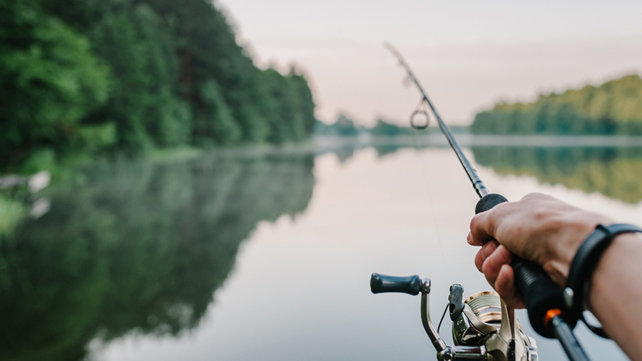 A $33 license enables you to fish in reservoirs! 