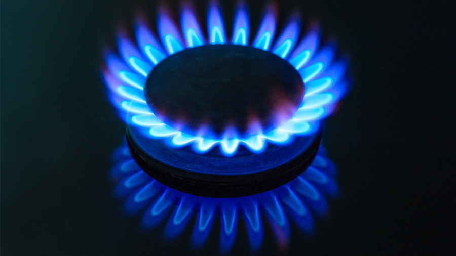 Why is candlelight yellow and gasgrill light blue? Youth.gov.hk