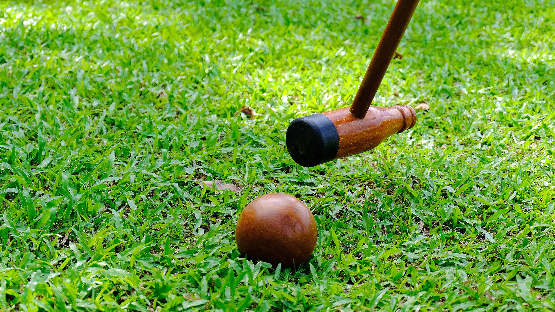 101入门教室精选：【运动教室 101】木球